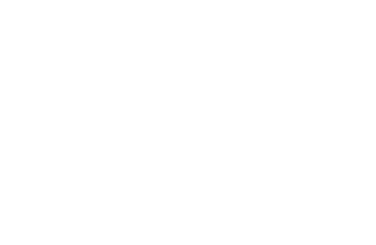 Google-Partner